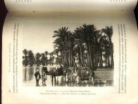 Лот: 18026605. Фото: 16. Кон А. Растение. (Популярные лекции...