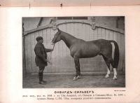 Лот: 17395745. Фото: 3. Журнал коннозаводства № 12, декабрь... Коллекционирование, моделизм