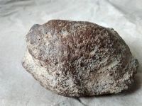 Лот: 14849611. Фото: 2. Метеорит каменный. Коллекционирование, моделизм
