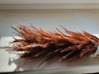 Лот: 20334040. Фото: 4. перо. Красноярск