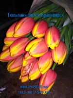 Лот: 1503331. Фото: 8. Шикарные тюльпаны EXTRA+ оптом...
