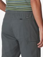 Лот: 24005192. Фото: 5. Брюки мужские Mountain Hardwear...