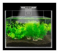 Лот: 18175084. Фото: 3. Светильник LED аквариумный. Растения и животные
