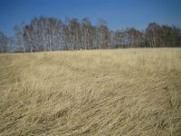 Лот: 4108400. Фото: 3. Участок "Нанжуль-1". Недвижимость