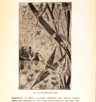 Лот: 18297401. Фото: 17. Мечников И.И. Этюды о природе...