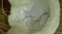 Лот: 10726068. Фото: 2. Шапка на 3-6 лет. Одежда и аксессуары