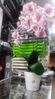 Лот: 16872315. Фото: 2. орхидея искусственная латексная. Комнатные растения и уход