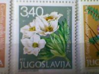 Лот: 3711530. Фото: 2. Югославия 1979. Флора. Цветы. Коллекционирование, моделизм