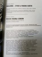 Лот: 21045286. Фото: 2. Владимир Свиридов "Посох мамы... Литература, книги