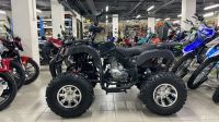 Лот: 23565545. Фото: 5. Квадроцикл на цепи Grizzly 250...