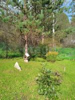 Лот: 25798124. Фото: 9. 2-комн. дача , СНТ Каскад СНТ...