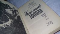 Лот: 19565726. Фото: 4. Черный тополь, А.Черкасов, П...