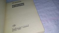 Лот: 10849160. Фото: 2. Рождение коалиции, Бережков В... Общественные и гуманитарные науки