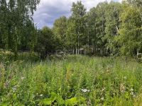 Лот: 25602239. Фото: 14. 1-комн. дом , посёлок городского...
