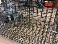 Лот: 17554470. Фото: 2. Катиска финская. Суперуловистая... Рыбалка