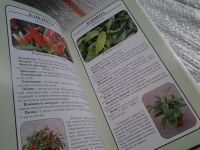 Лот: 5712267. Фото: 3. Экзотические комнатные растения... Литература, книги