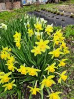 Лот: 25709356. Фото: 16. 2-комн. дача , садоводческое некоммерческое...