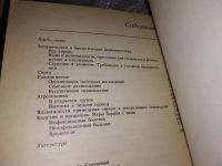 Лот: 17531233. Фото: 3. Сирень, Лунева З.С., Михайлов... Литература, книги