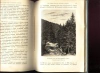 Лот: 18026605. Фото: 17. Кон А. Растение. (Популярные лекции...