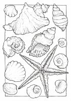 Лот: 23308990. Фото: 4. Книга-раскраска на акварельной... Красноярск