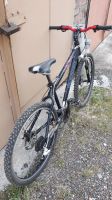 Лот: 16485669. Фото: 3. Wheeler buddy 03, навесное shimano. Спортивные товары