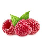 Лот: 17589636. Фото: 2. Малина КОРАЛловая 4 шт. САЖЕНца... Семена, рассада, садовые растения