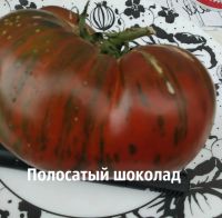 Лот: 17125608. Фото: 3. семена томата Полосатый шоколад... Для дачи, дома, огорода, бани, парка