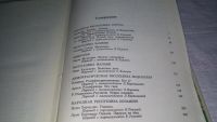 Лот: 10759502. Фото: 3. Избранные произведения писателей... Красноярск