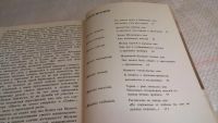 Лот: 8154708. Фото: 3. ок....(4092326) Возвращение на... Литература, книги