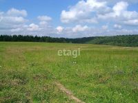 Лот: 25295127. Фото: 5. участок , деревня Киндяково деревня...