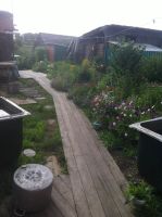 Лот: 8052932. Фото: 4. Дом в с. Частоосровское продам... Красноярск