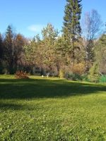 Лот: 25798124. Фото: 17. 2-комн. дача , СНТ Каскад СНТ...