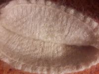 Лот: 10030011. Фото: 2. Шапка тёплая шерсть козы СССР... Женская одежда