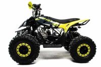 Лот: 25774817. Фото: 2. Квадроцикл MOTOLAND 125 Raptor. Мототехника