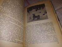 Лот: 17282868. Фото: 5. ок (01..01) Шерешевский Э., Арманд...