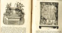 Лот: 18627295. Фото: 16. Н.Ф. Золотницкий . Аквариум любителя...