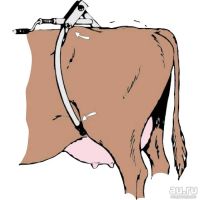 Лот: 17560453. Фото: 5. Антибрык двусторонний Америка...