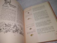 Лот: 25554647. Фото: 6. озЮ..вбр..(00-38) Питание школьника...