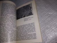 Лот: 19160349. Фото: 5. ок.Гнедовский, Б.В.; Добровольская...