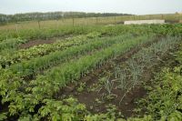 Лот: 12240086. Фото: 2. Участок в "Потапово" 30 км от... Продажа