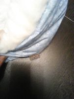 Лот: 6522900. Фото: 2. конверт для новорожденных зимний... Одежда и аксессуары