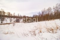 Лот: 25294809. Фото: 5. участок , ДНТ Чёрная Сопка ДНТ...