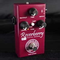 Лот: 5224286. Фото: 4. AMT Electronics RY-1 Reverberry... Красноярск