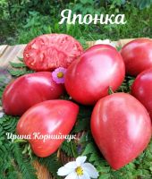 Лот: 18569453. Фото: 6. Сортовые семена томатов и перцев