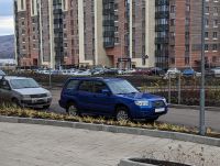 Лот: 24765725. Фото: 2. Зоотакси Красноярск. Межгород... Услуги