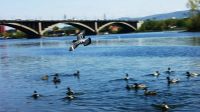 Лот: 3064978. Фото: 4. Sony a290, 18-55. Продажа, обмен... Красноярск