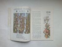 Лот: 24685910. Фото: 6. Журнал Юный Натуралист .№10- 1977...