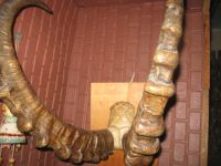 Лот: 11155524. Фото: 4. Рога козерога на медальоне. Красноярск