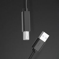 Лот: 25529800. Фото: 2. Кабель UGREEN US122 (10362) USB... Комплектующие