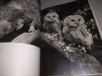 Лот: 25258361. Фото: 6. (2092314)S kamerou po evropskych...